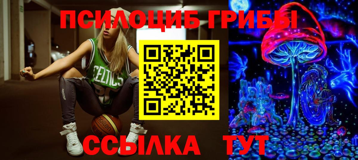 Псилоцибиновые грибы прущие грибы Михайловка